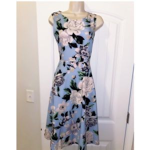 🆕🦋FINAL PRICE🦋💙Vintage Inspired, Midi Dress💙